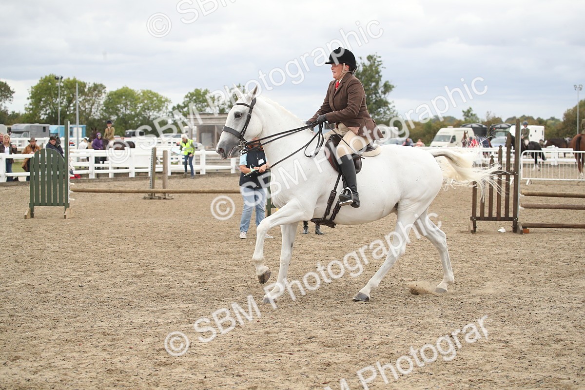 SBM_18271 - Class 509a - Working Veteran - 80cm (15-19)