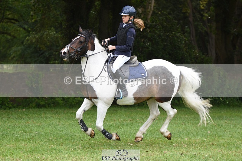 230617-101738-01858 - Cls 15 British Novice & 80cm Open