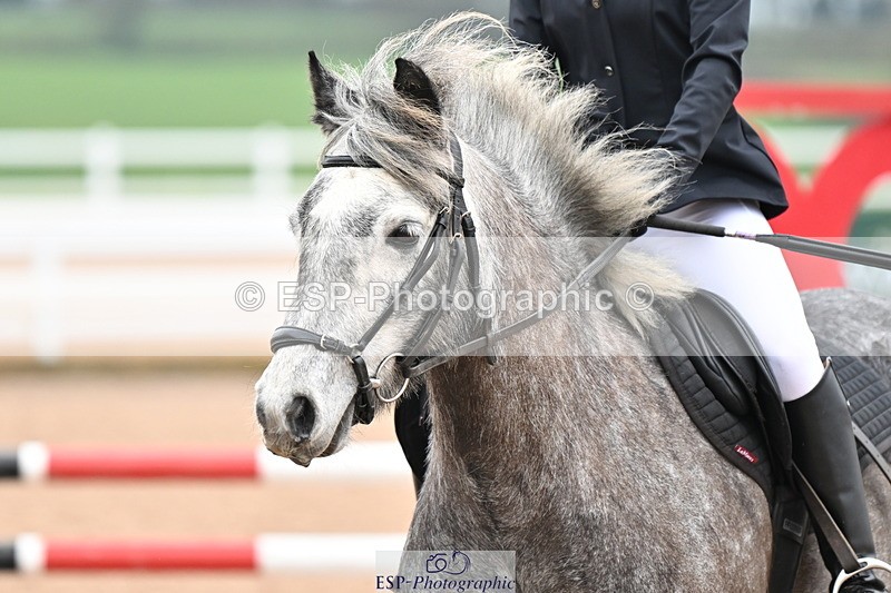 240309A-100401-00005 - Cls 1 Pony Intro 70cm