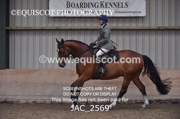 JAC_2569 - CLASS 3 Intermediate Working Hunter