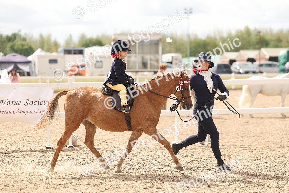 SBM_15780 - Class 309 - Lead Rein Pony