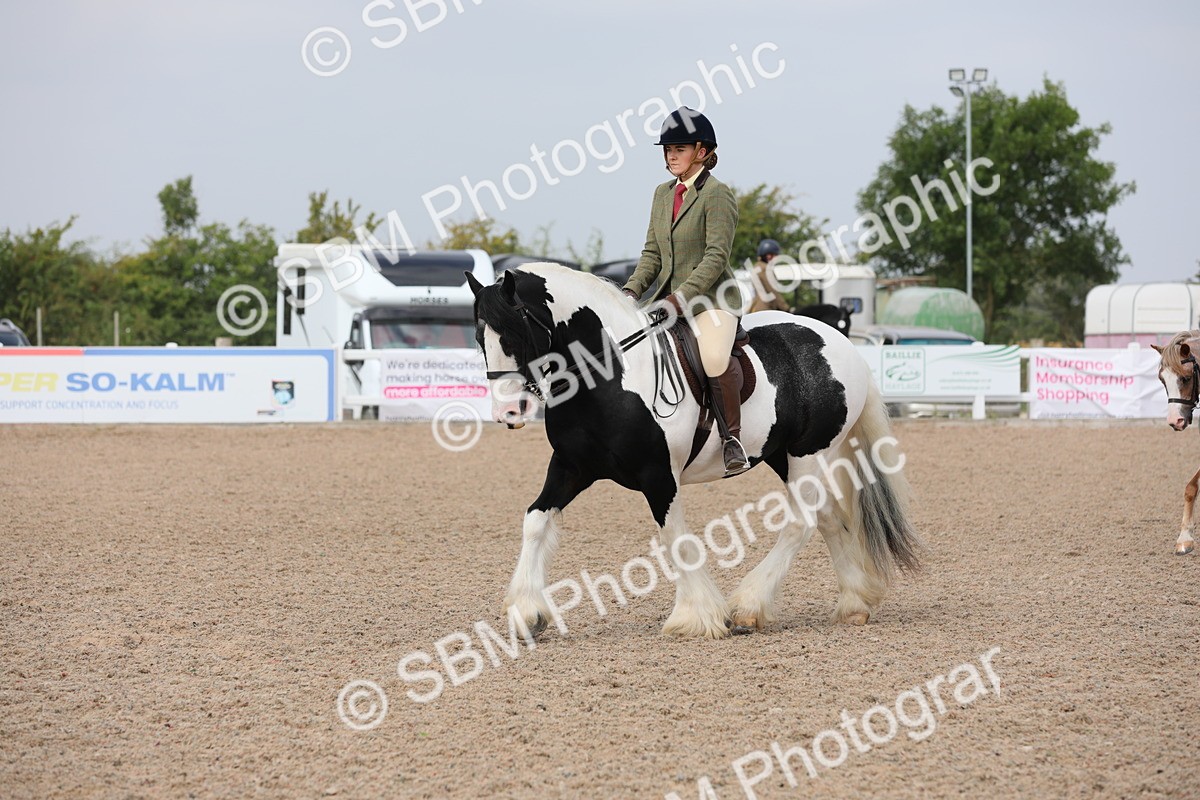 SBM_12698 - Class 307 Ridden Coloured Pony