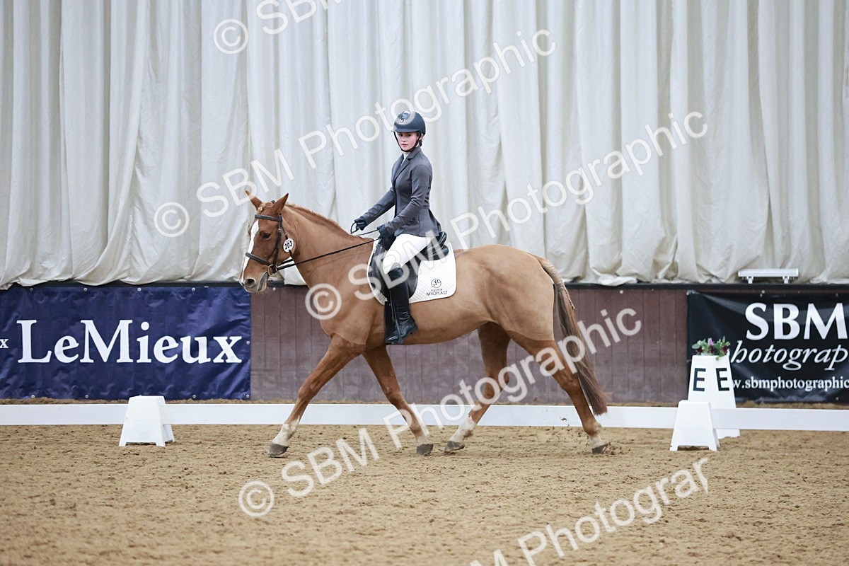 SBM_004641 - Ring 3 - International -  Working Hunter Classes 23-2-25