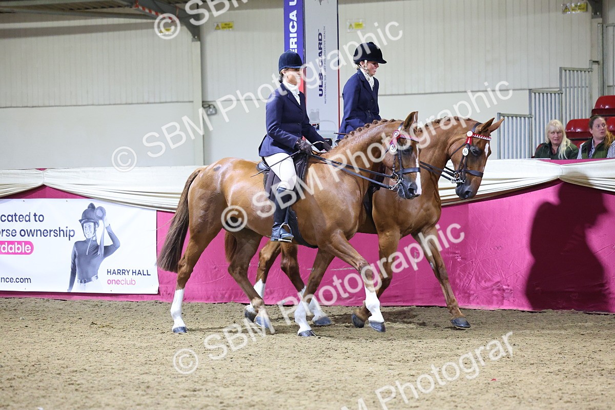 0B8A4309 - Class M Ridden Pairs Champ