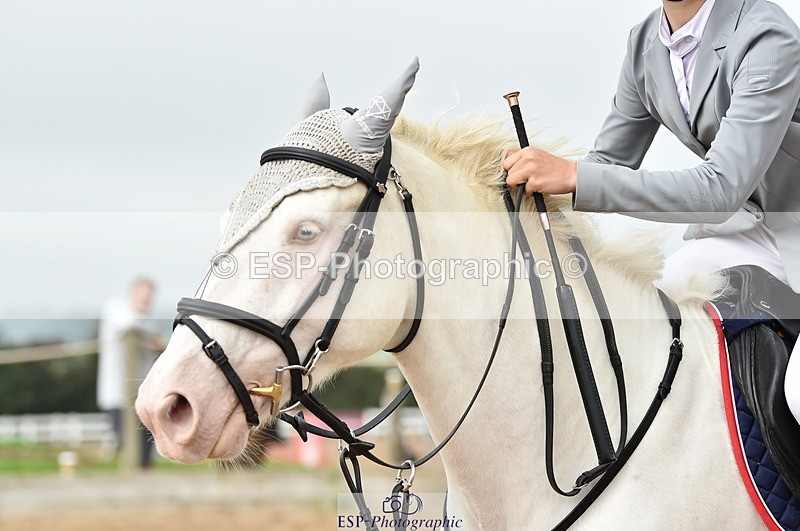 230902A-112510-00711 - Cls 2B Pony Small 80cm