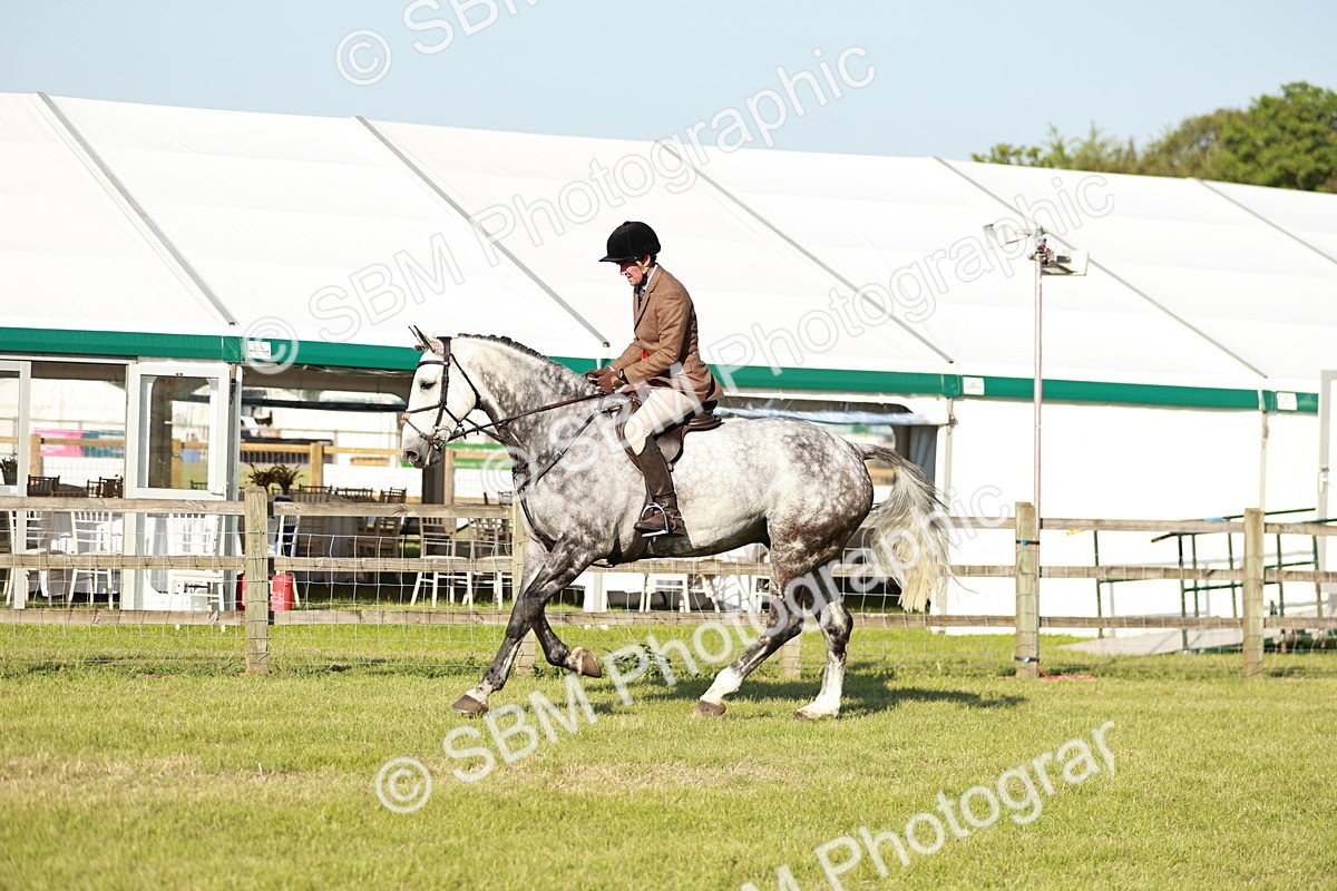 SBM_20100 - Class 115-116 - LIHS BSHA Rising Star Working Hunter & Show Horse
