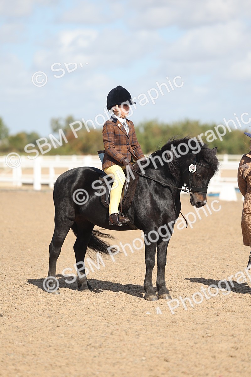 SBM_23082 - Class 806 - Young Rider 10ry and Under