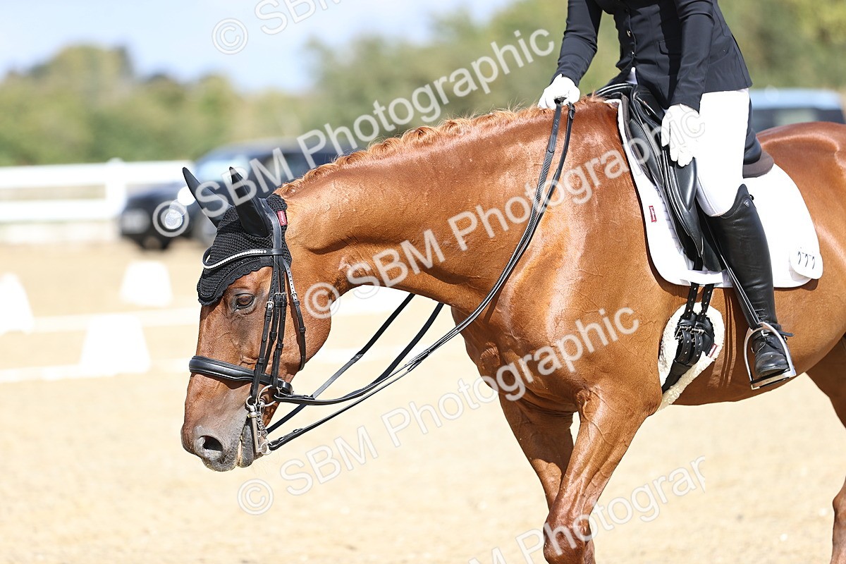 SBM_015268 - Class 5 - E5 Bronze 14.42.15.54