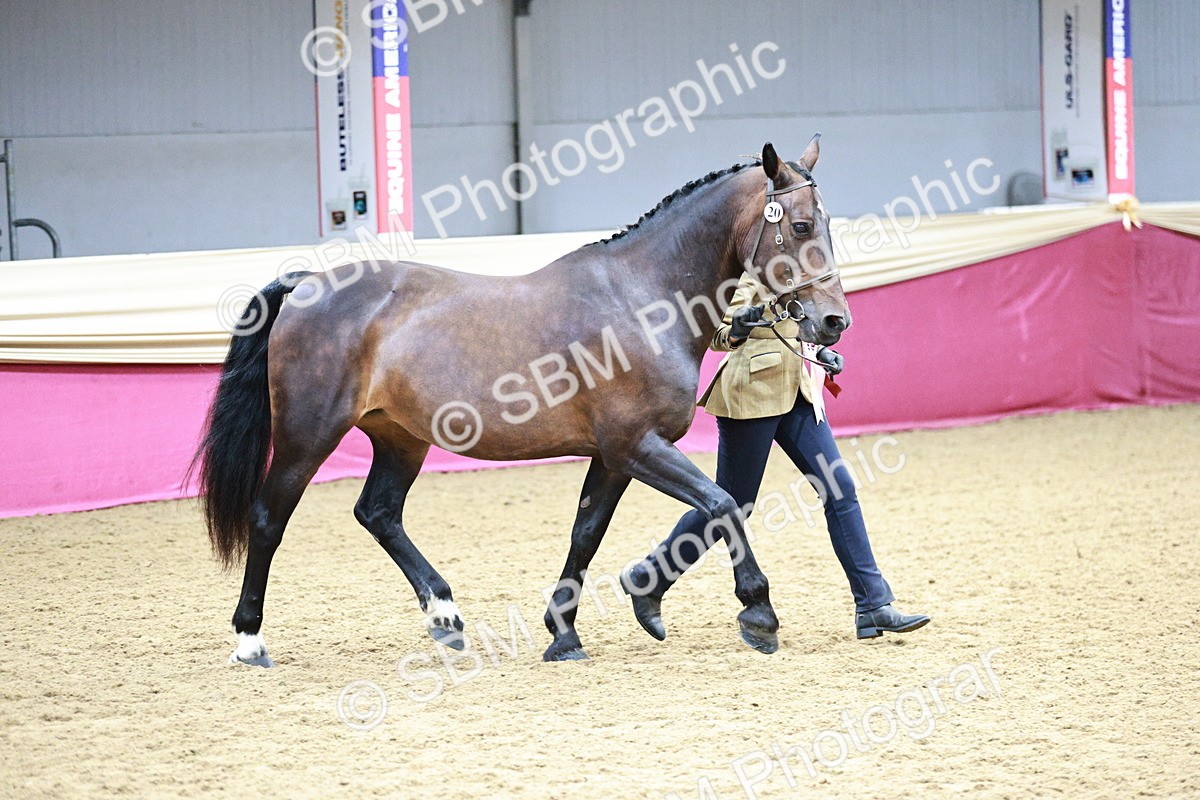 SBM_01112 - Class 2A - Area IH Veteran