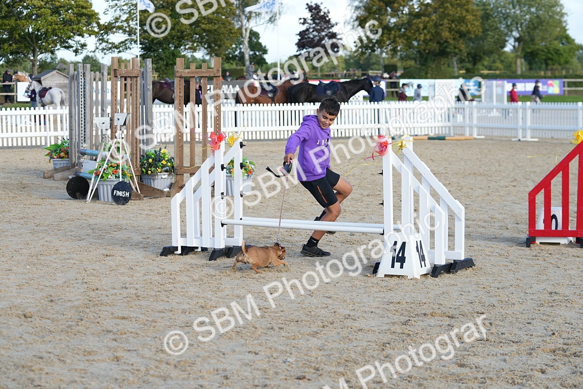 SBM_29099 - J43 - Horse & Hound Open 50cm