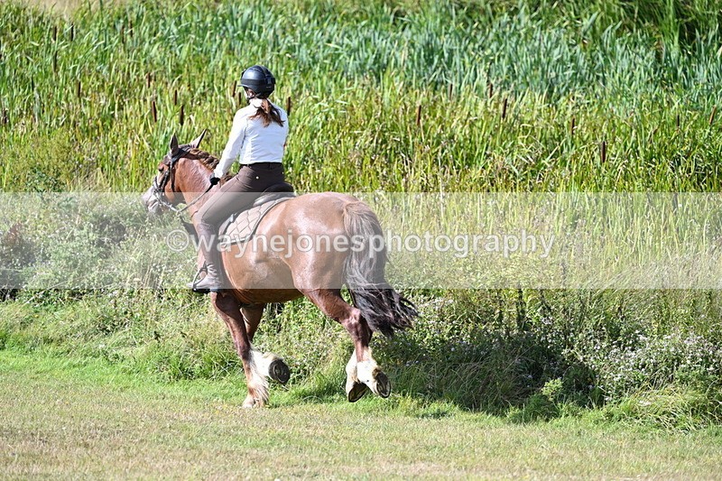 WJ7_3679 - Time 10:33 to 10:53