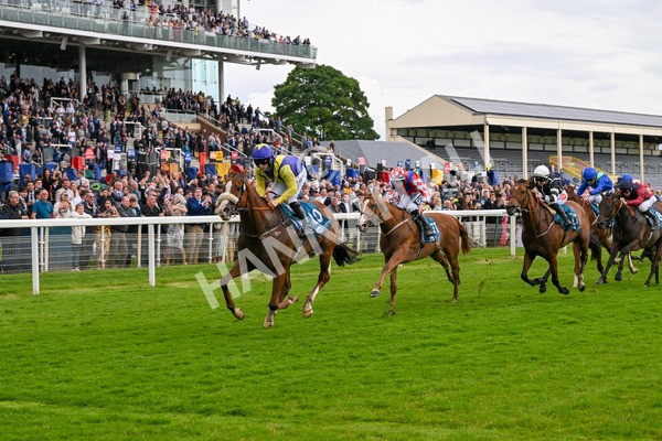 140624-Race 5-Ron O-4861 - Race 5 4.10pm Juddmonte EBF Fillies Restricted Novice Stakes