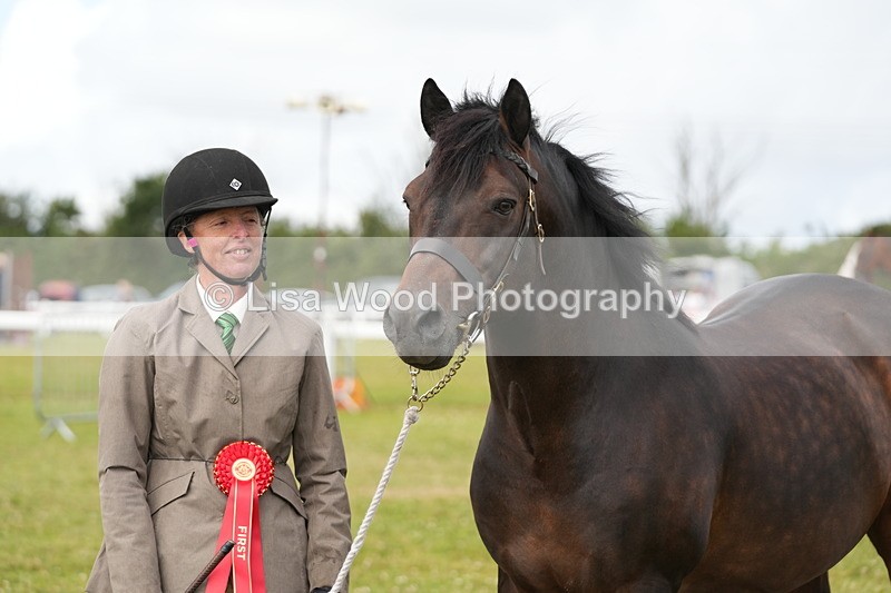DSC05850 - Class 51: NPS M&M 4 years and over Large Breeds