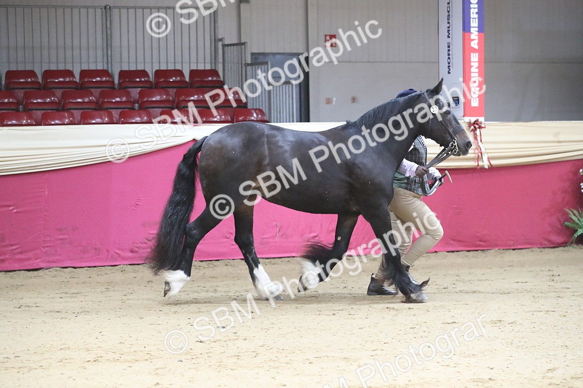 SBM_00538 - class 2a Area IH Veteran