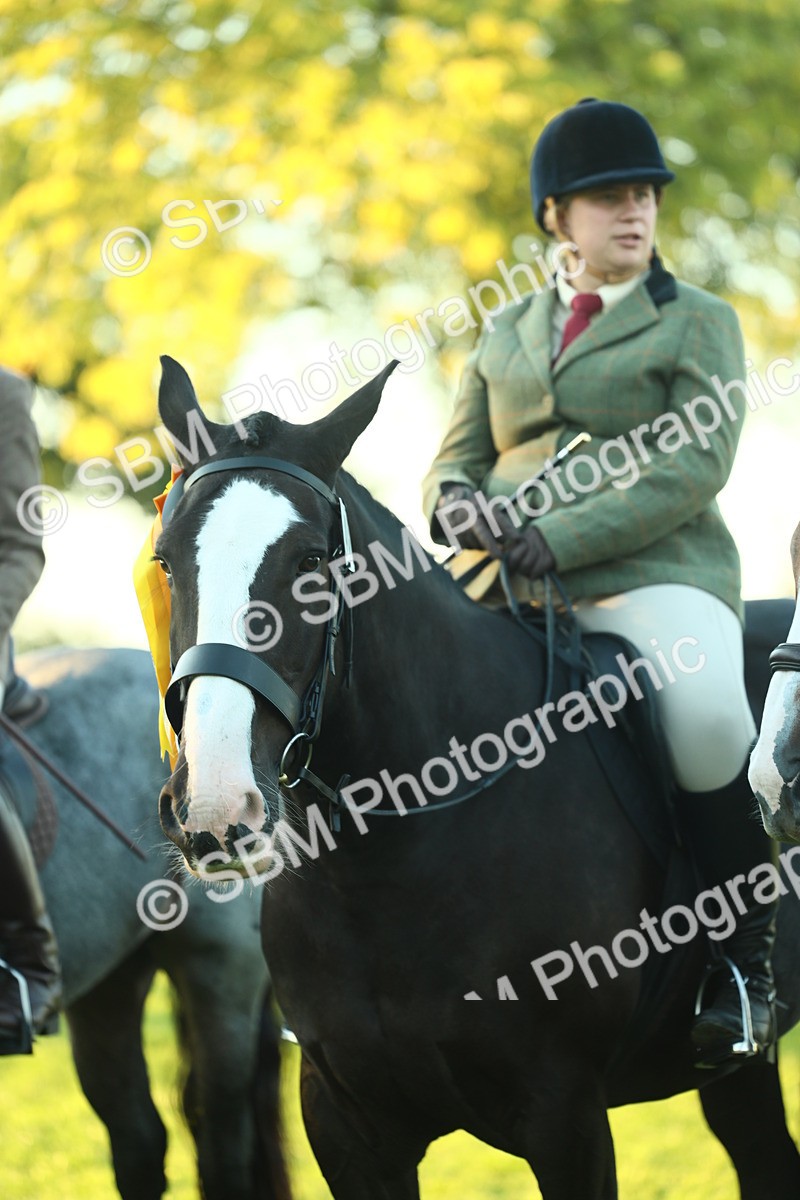 SBM_56586 - S14 - Riding Club Horse