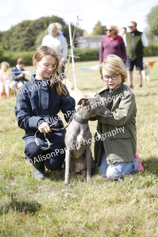 20250831-3677 - Dog Show