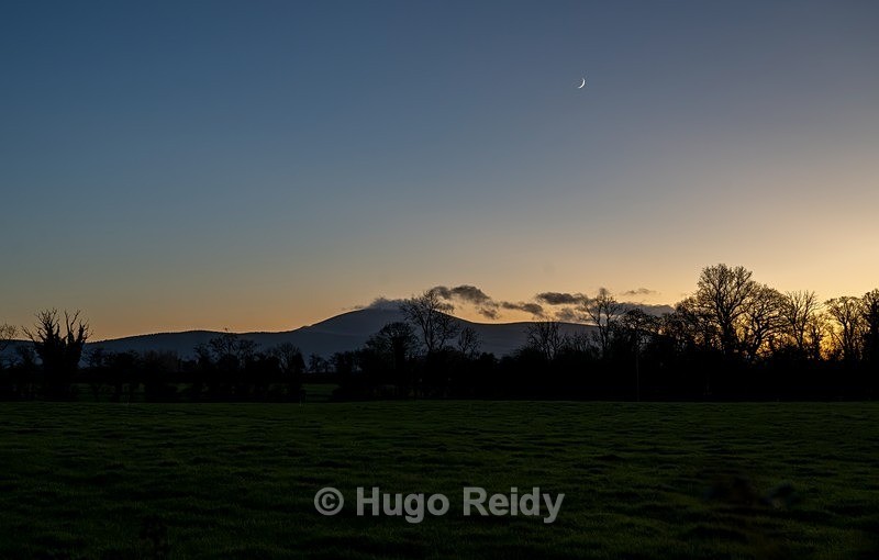  - Kilcooley Abbey with Dee