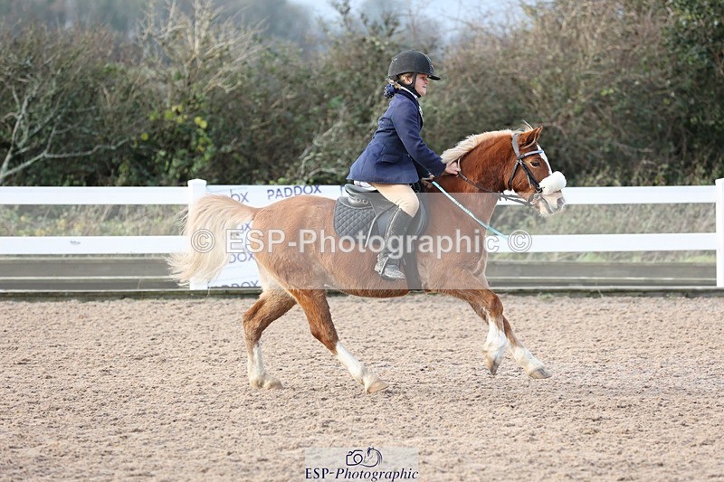 241201X-125438-01424 - Cls 25 Stepping Stones