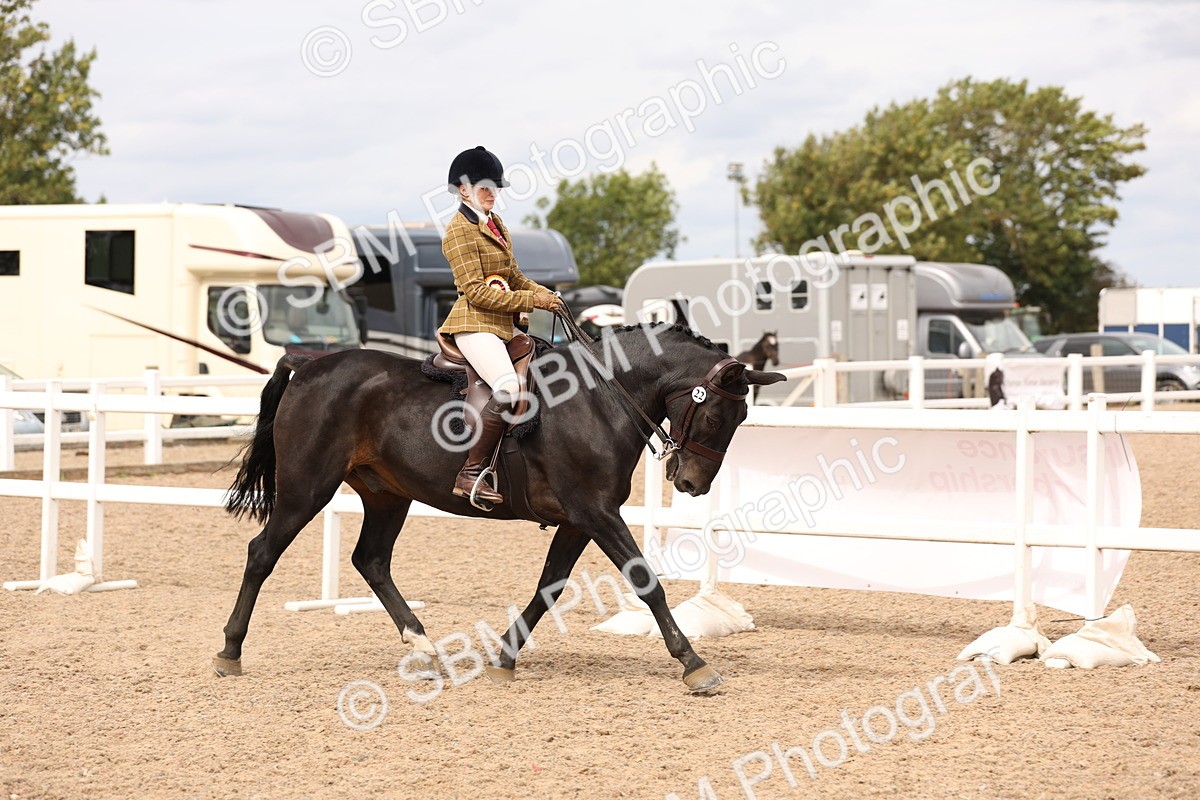 SBM_16541 - Class 212 - Ridden Hunter - Small