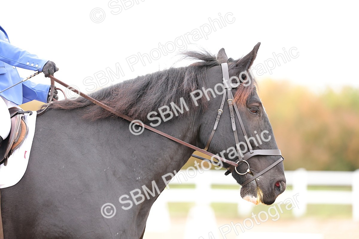 SBM_000094 - Intro 2