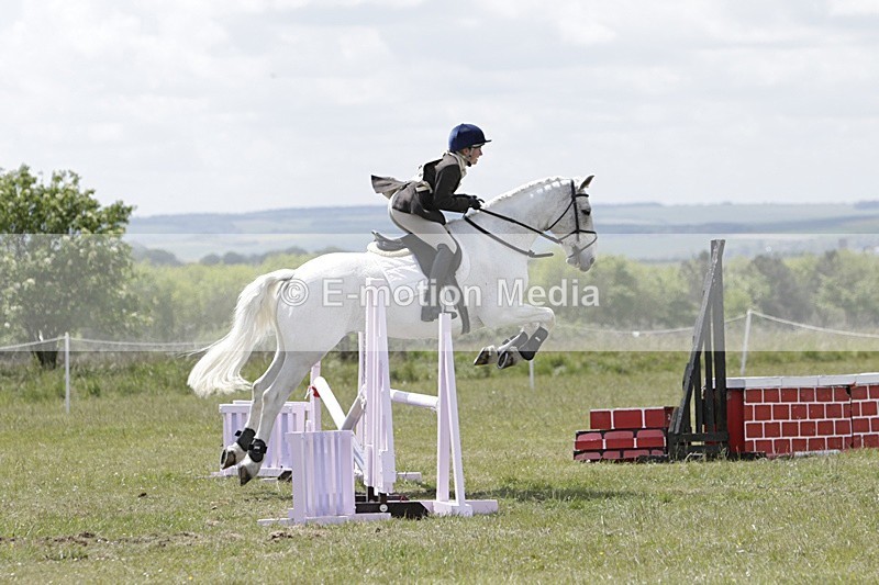 BVHT 140517 N-386 - Class 2 SJ Novice 14/05/17