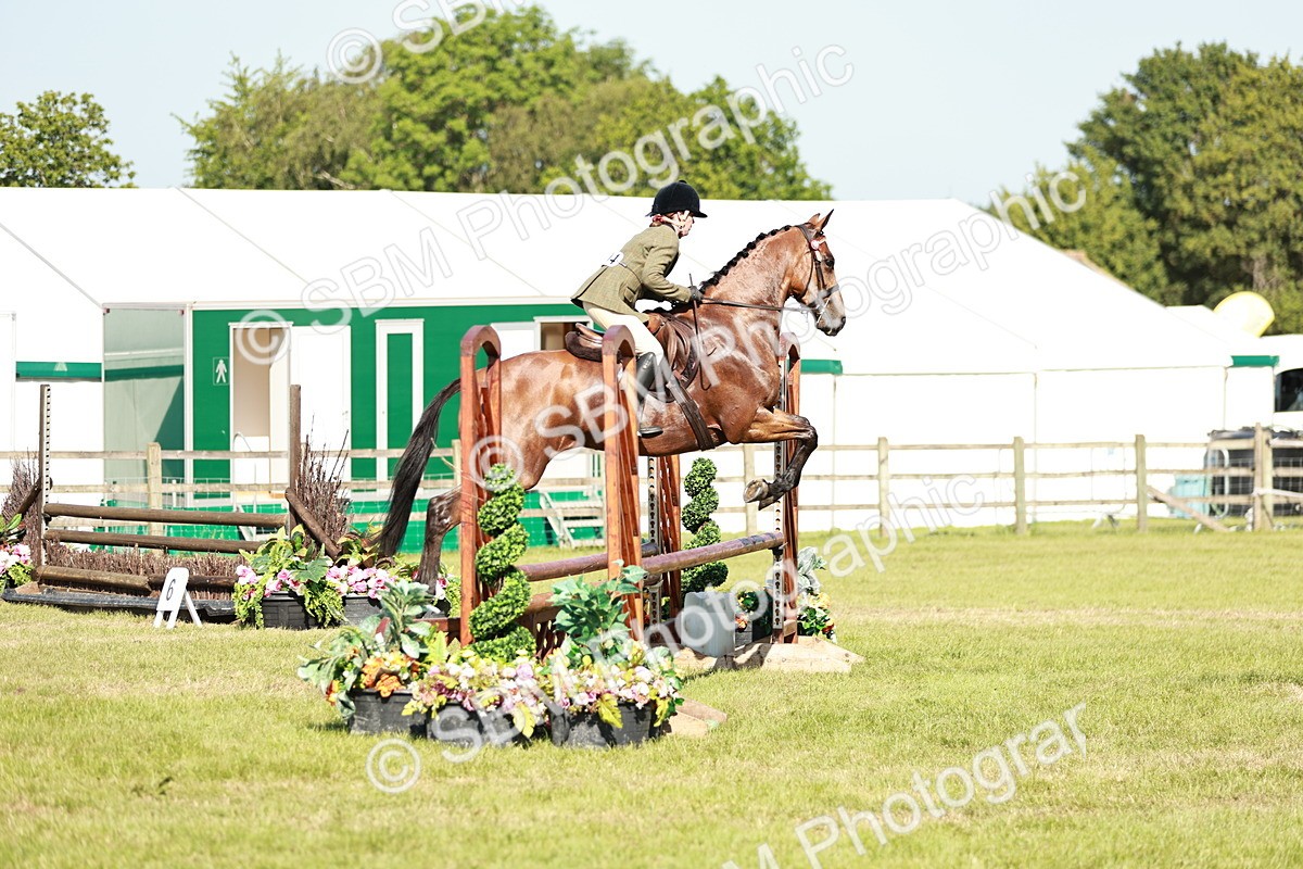 SBM_19143 - Class 115-116 - LIHS BSHA Rising Star Working Hunter & Show Horse