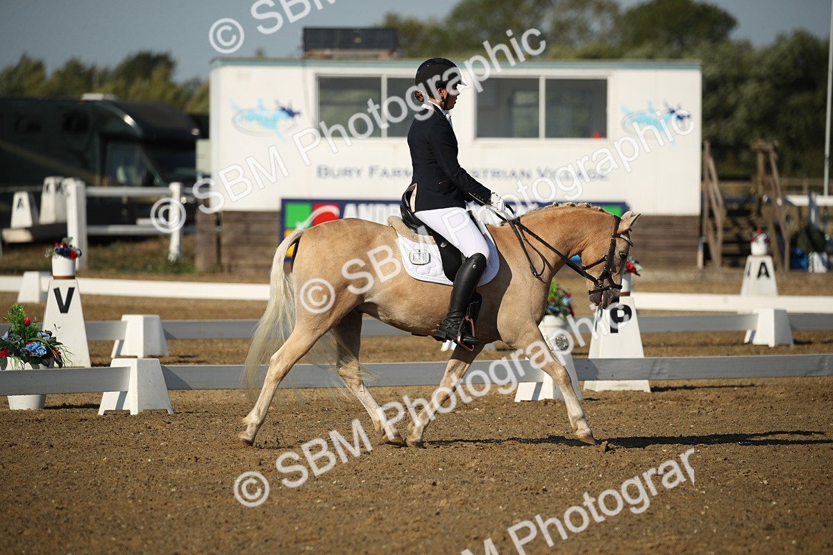 SBM_004461 - Class 11 - Novice 5 - 9.0010.03