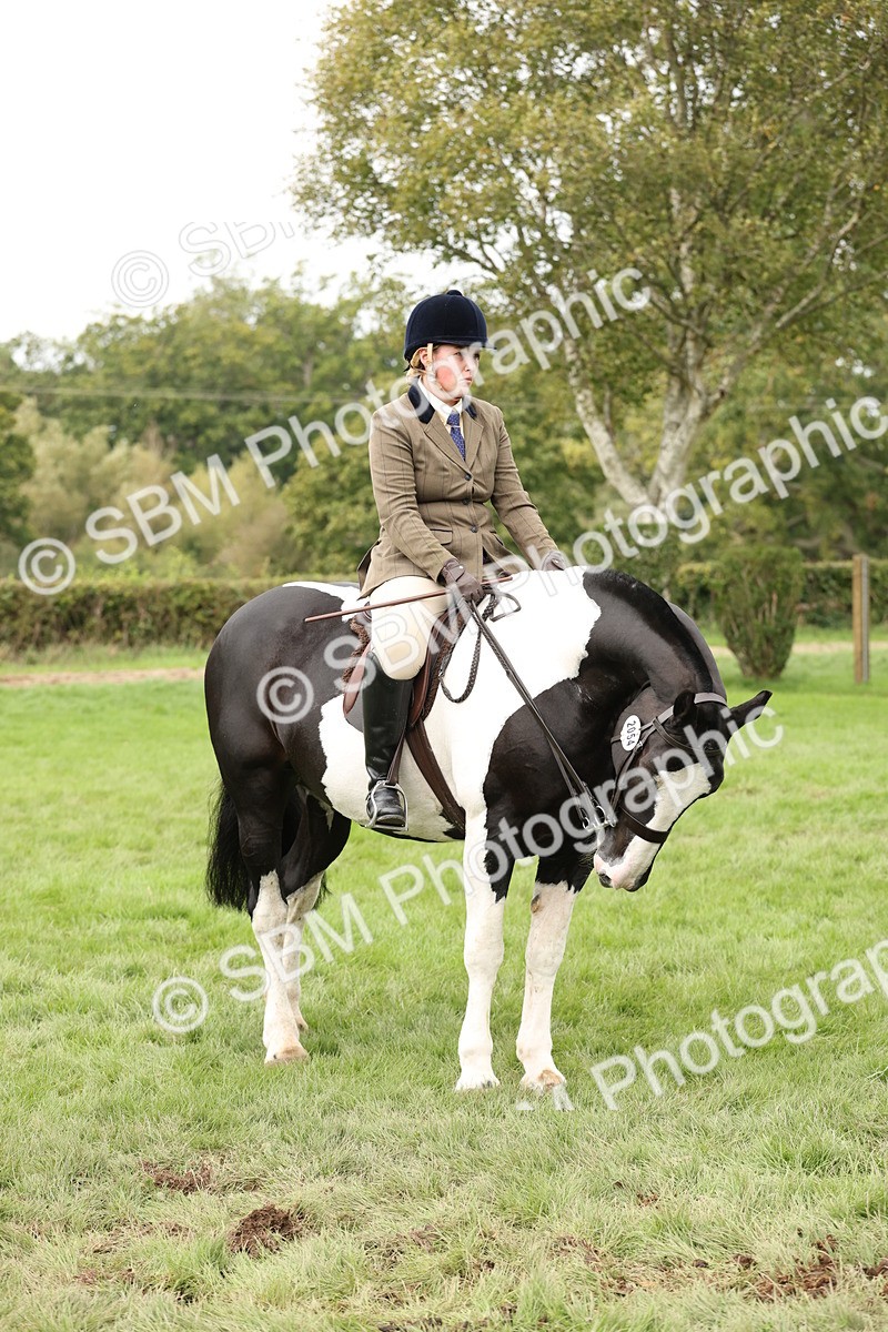 SBM_67281 - S67 - Piebald & Skewbald Horse Ridden