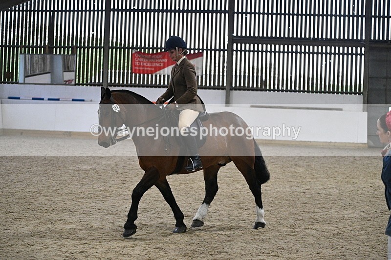 WJ7_3971 - Class 17 Ridden Cob