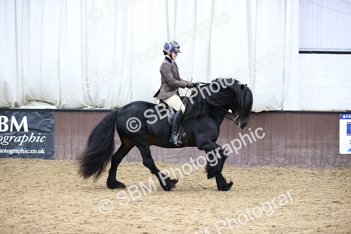 SBM_6538 - Class 43 - Ridden Native Breeds