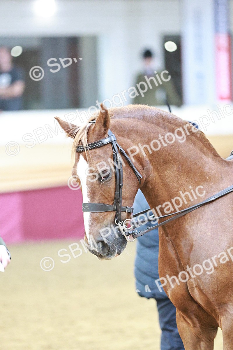 SBM_07124 - Class 10R - Regional Ridden Diamond