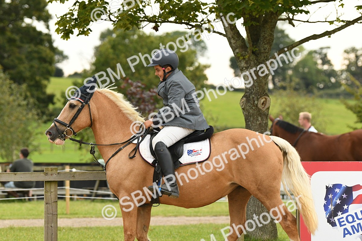SBM_75737 - Supreme Championship