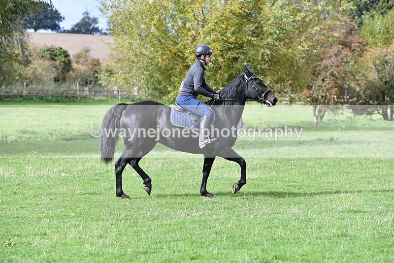 WJ5_9318 - Time 13:03 to 13:25