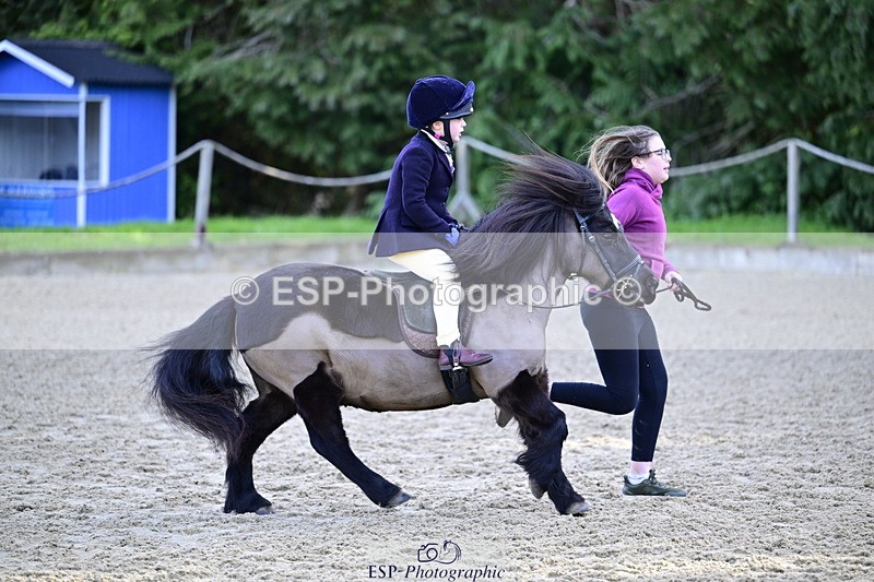 260411A-091907-00083 - 40cm Lead Rein