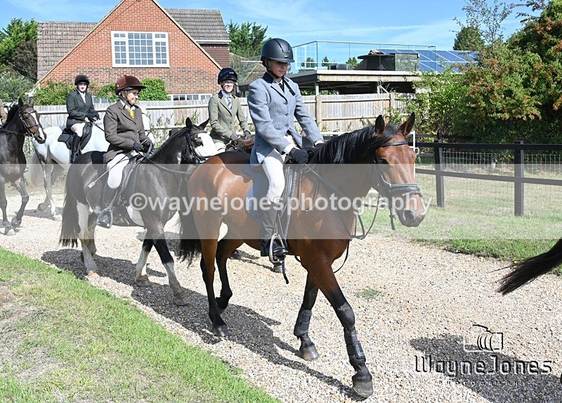WJ7_0530 - Berks & Bucks - Hound Exercise – Kennels 06-09-26
