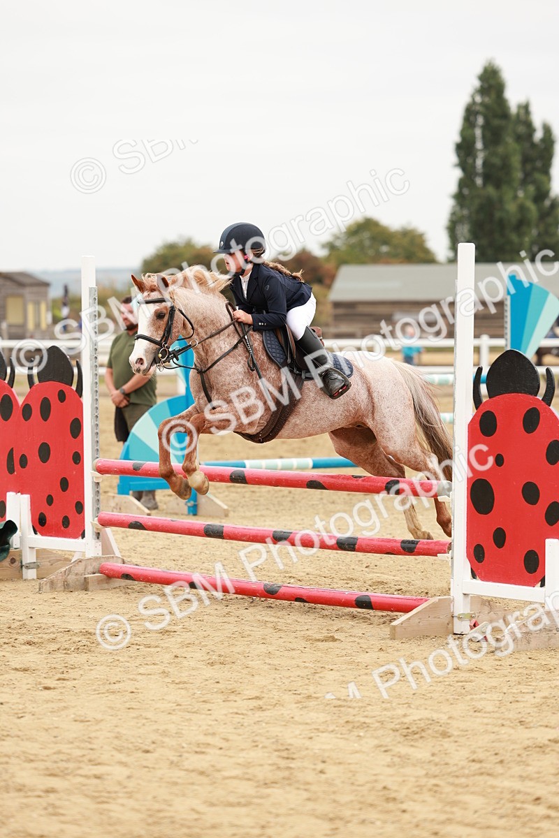 SBM_008266 - Class 5 - 80cm