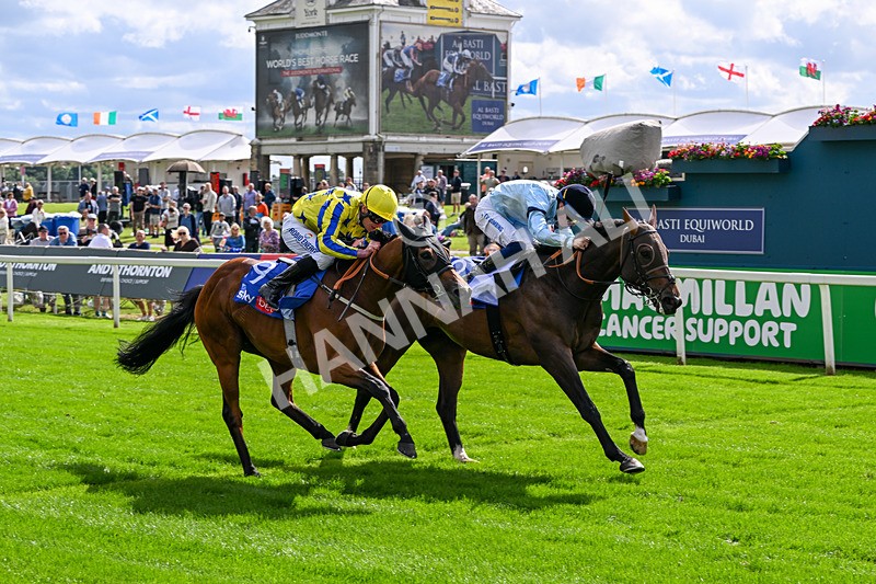 120626-Race 5-Antipodes-7843 - Race 5 16.10pm Sky Bet The World's Gone Football Handicap