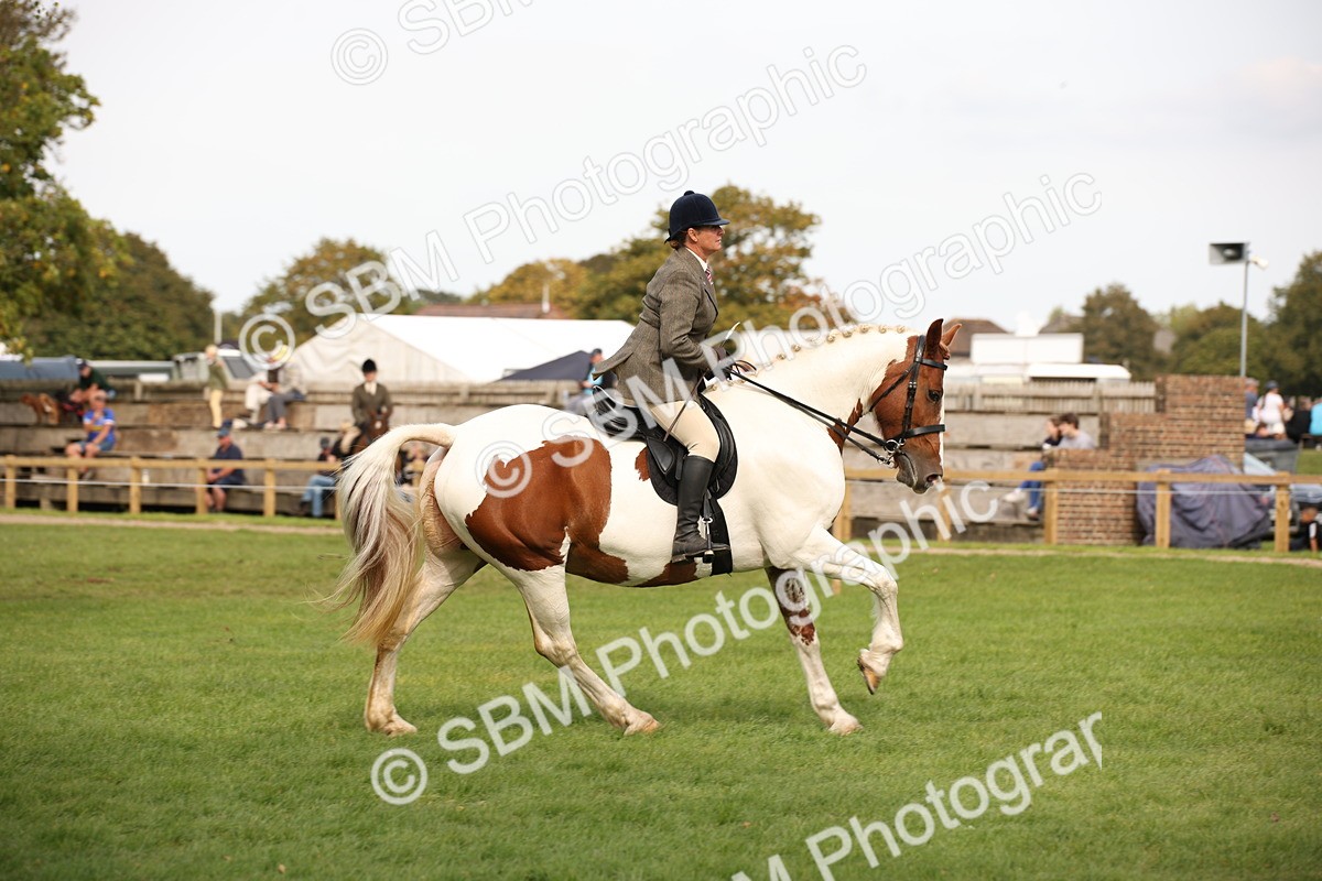 SBM_70416 - S66 - Hunter Ridden
