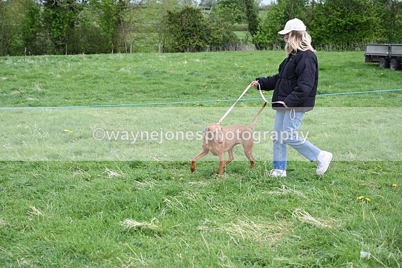 WJ6_8113 - Class 2 Best Pedigree