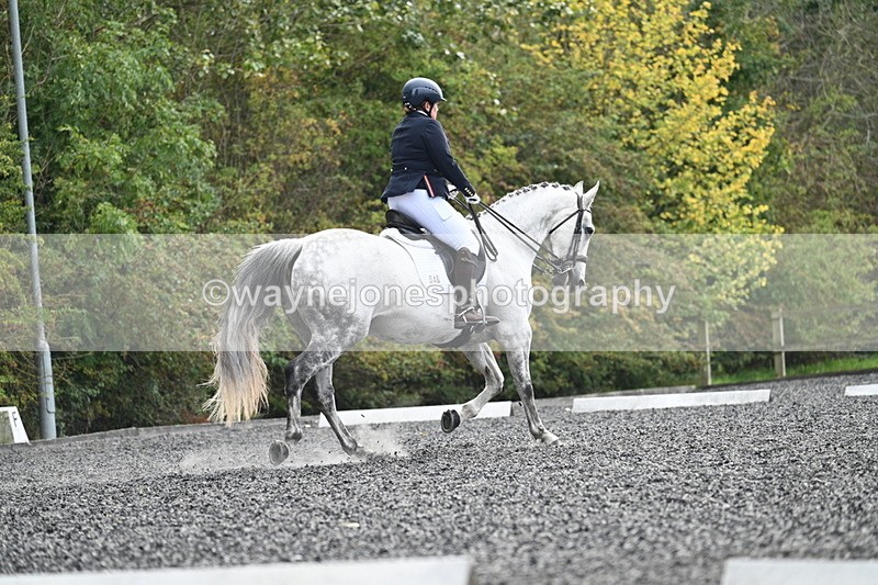 WJ7_6906 - Time 14:49 to 15:14