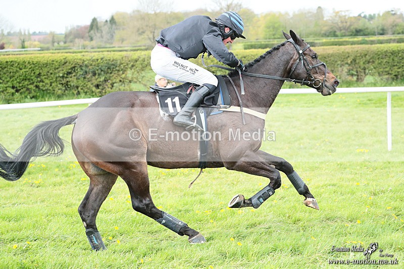 PtP 180426 581 - Worcestershire Hunt PtP Chaddesley Corbett 18/04/26