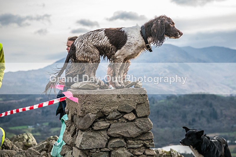 Loughrigg-23 - Loughrigg Fell Race, Wednesday 8th April 2026