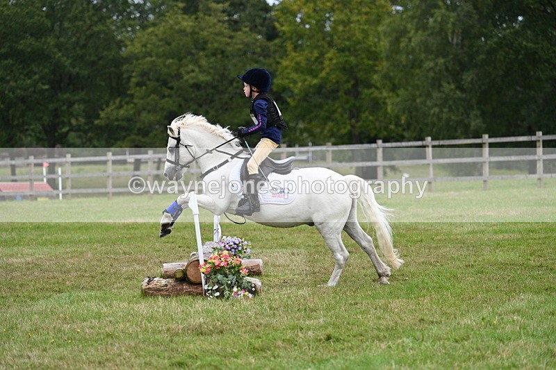 WJ7_7628 - 40cm Time 10:27 to 10:47