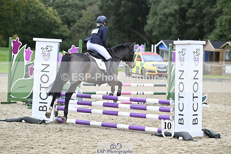 251005A-122727-03788 - Cls 08 Mini 70-75cm