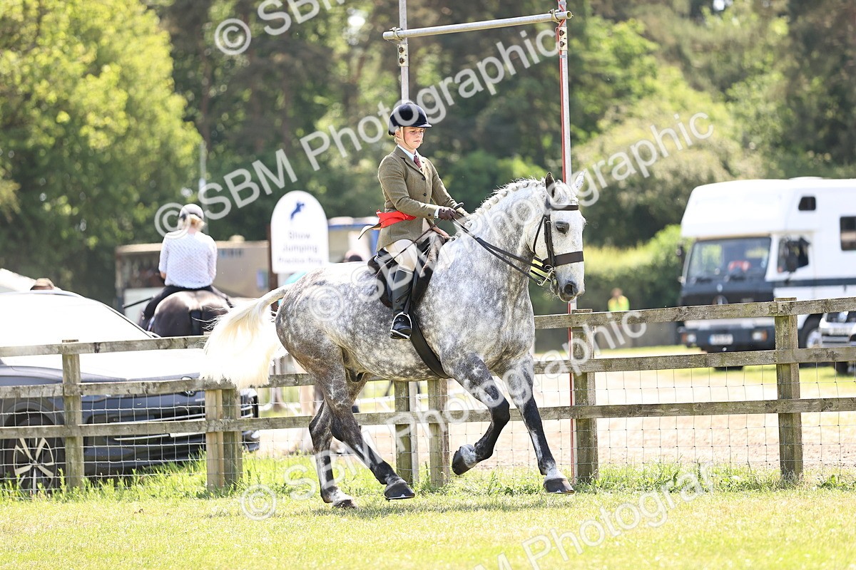 SBM_16186 - Class 79-80 - LIHS BSHA Rising Star Ridden Hunter