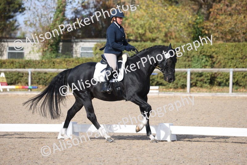 20261010-0609 - Class 5 - Novice 1