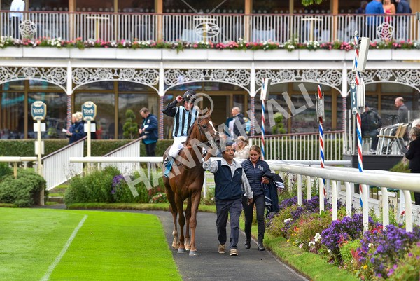 230923-Race 2-Palamon-6083 - Race 2 2.35pm jigsawsportsbranding.co.uk Handicap