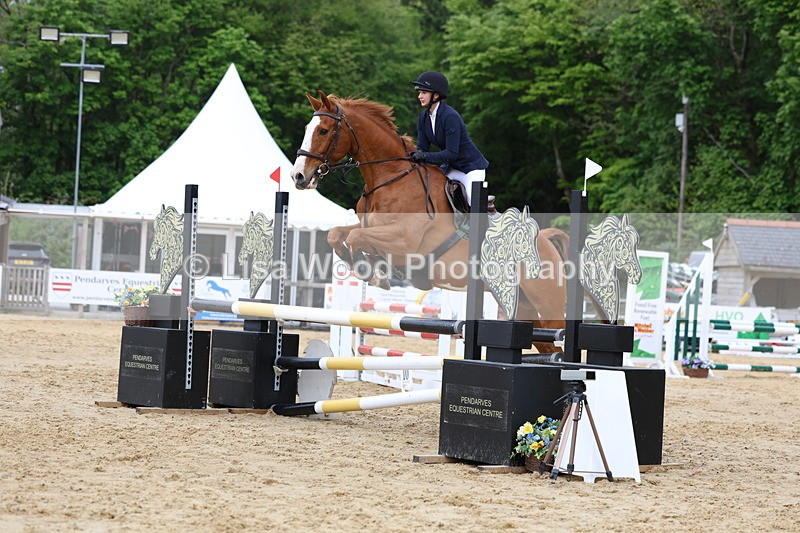 3E7A6253 - Class 4: Senior British Novice/90cm open