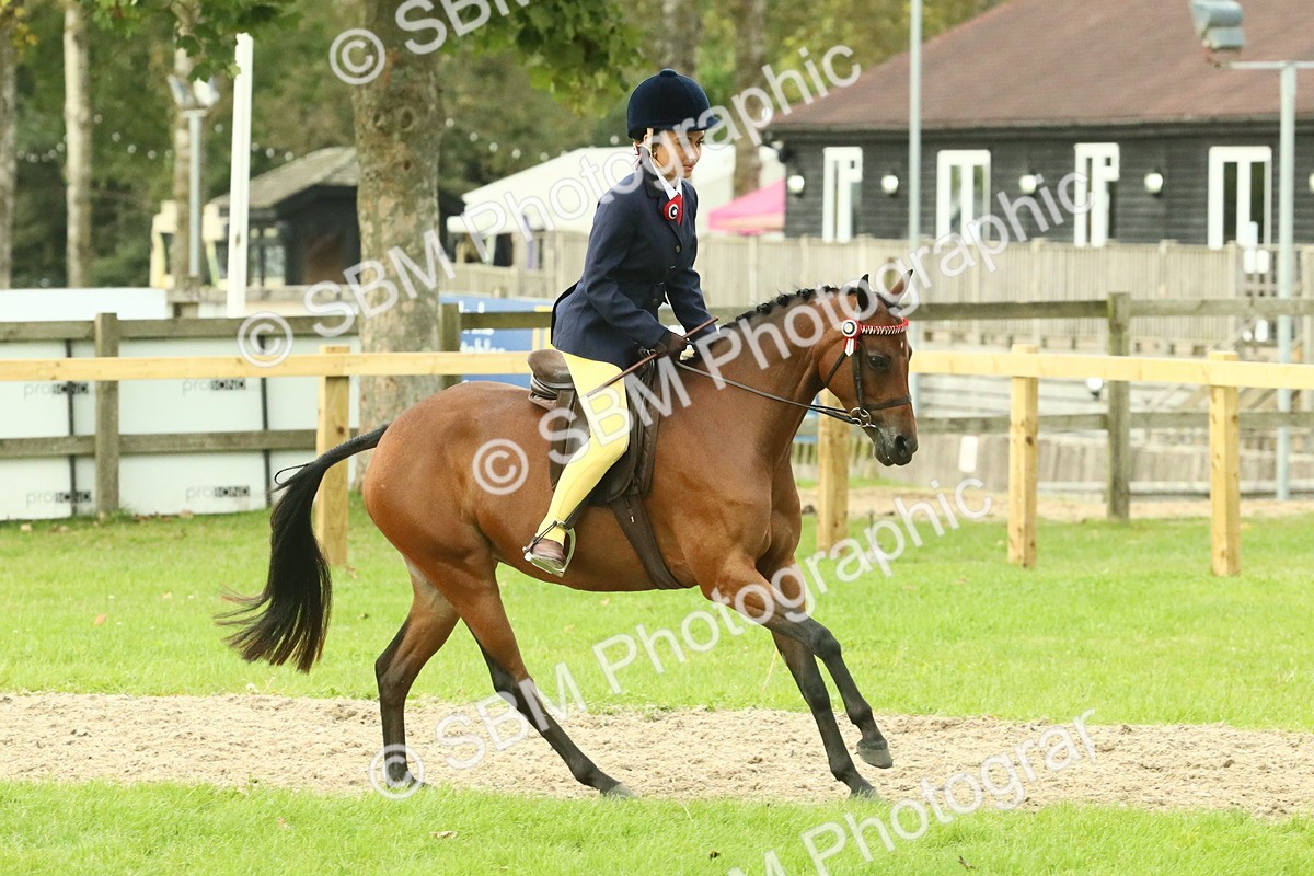 SBM_74042 - S 61 - Show Pony & Show Hunter Pony Ridden