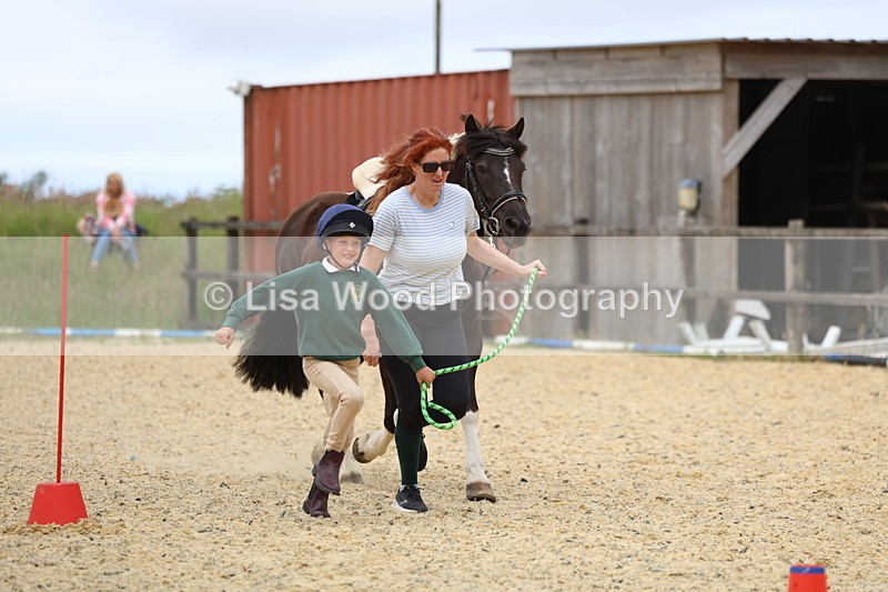 3E7A9510 - Walk trot run